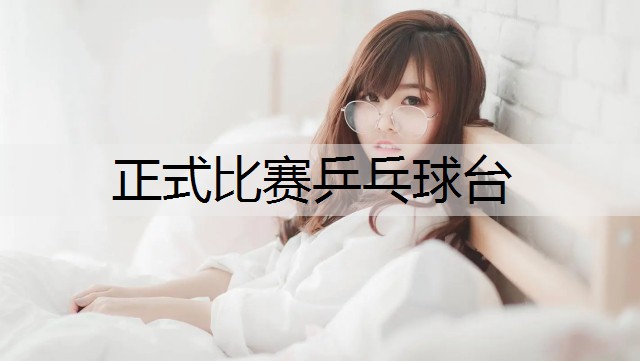 正式比赛乒乓球台