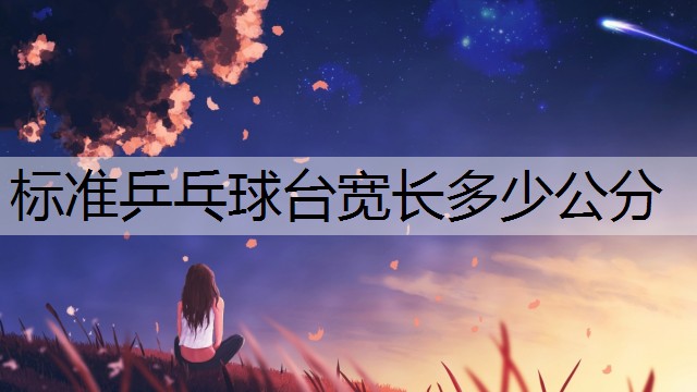 标准乒乓球台宽长多少公分