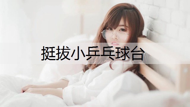 挺拔小乒乓球台