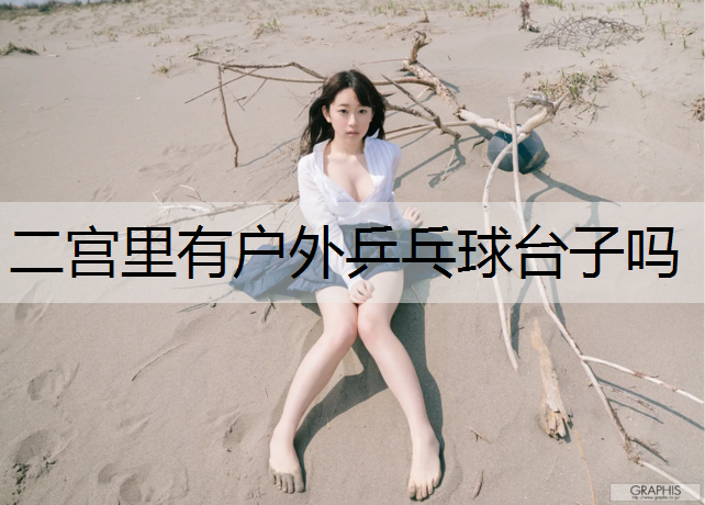 二宫里有户外乒乓球台子吗