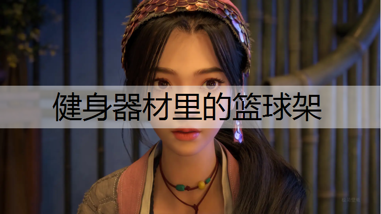 健身器材里的篮球架