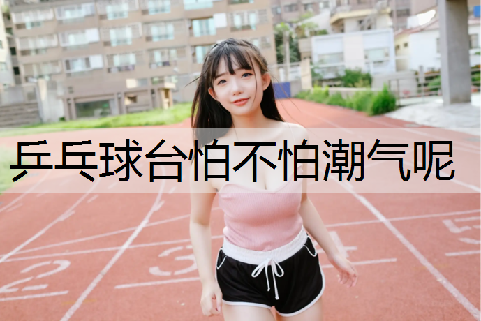 乒乓球台怕不怕潮气呢