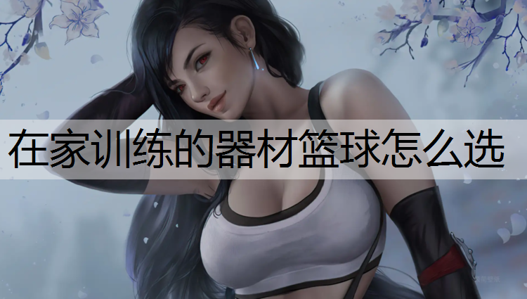 在家训练的器材篮球怎么选