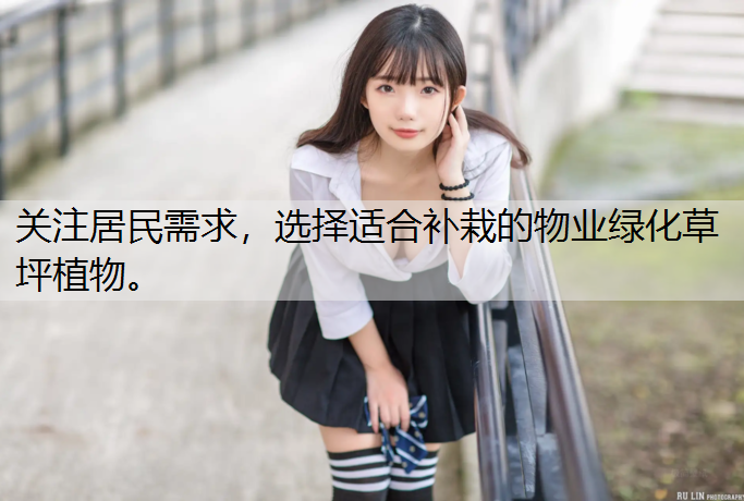 关注居民需求，选择适合补栽的物业绿化草坪植物。