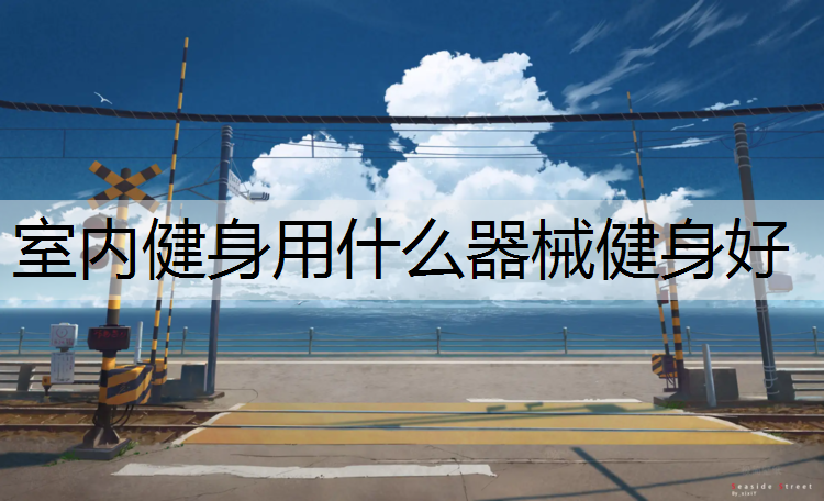 室内健身用什么器械健身好