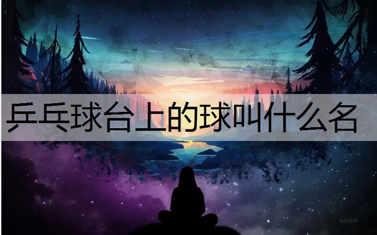 乒乓球台上的球叫什么名