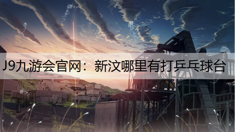 J9九游会官网：新汶哪里有打乒乓球台
