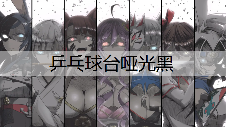 乒乓球台哑光黑
