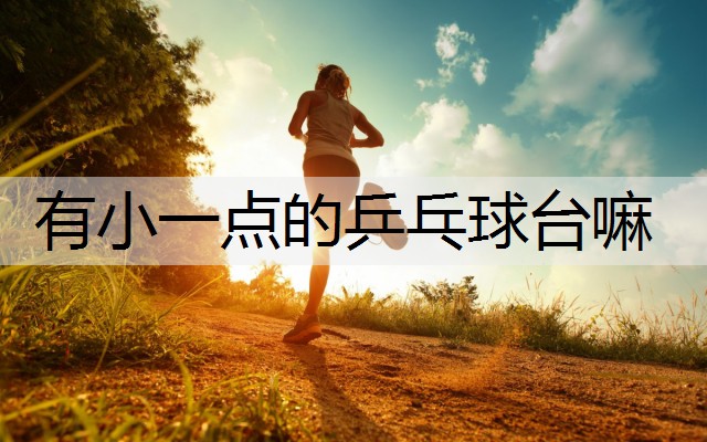 有小一点的乒乓球台嘛