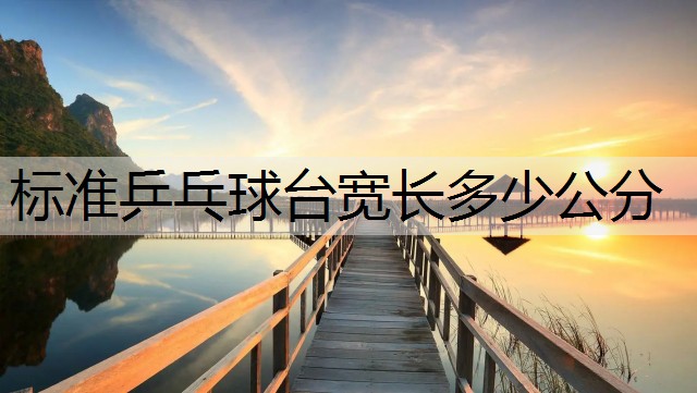 标准乒乓球台宽长多少公分