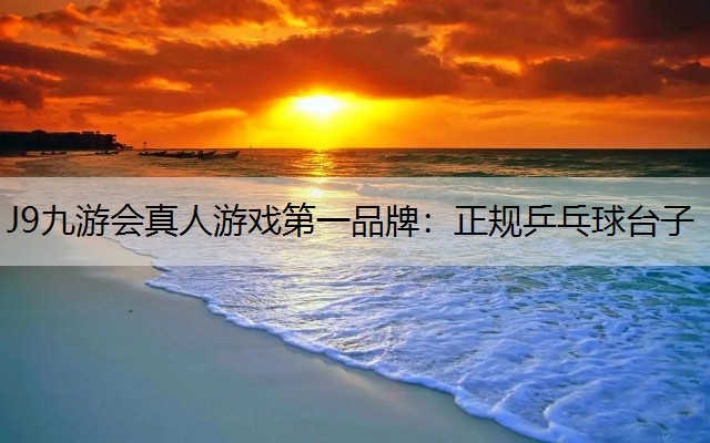 正规乒乓球台子
