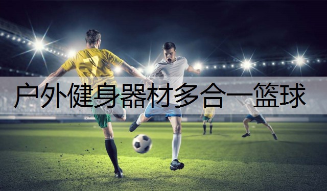 户外健身器材多合一篮球