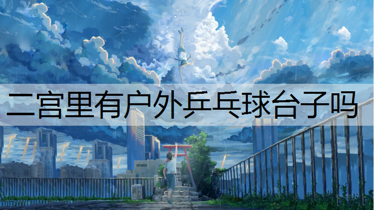 二宫里有户外乒乓球台子吗