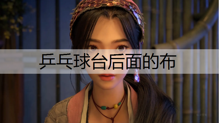 乒乓球台后面的布