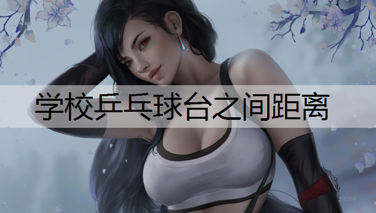 学校乒乓球台之间距离
